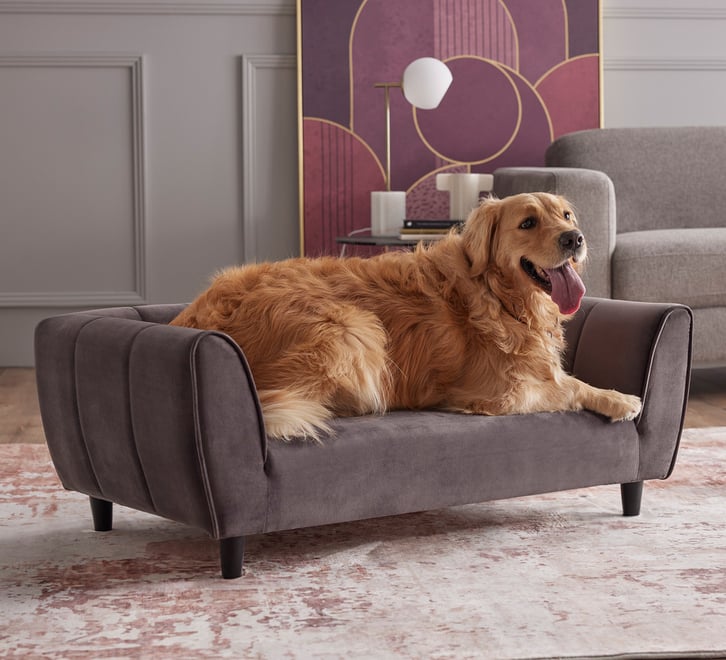 Bayton Pet Bed