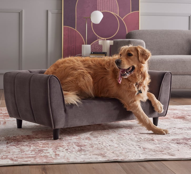 Bayton Pet Bed
