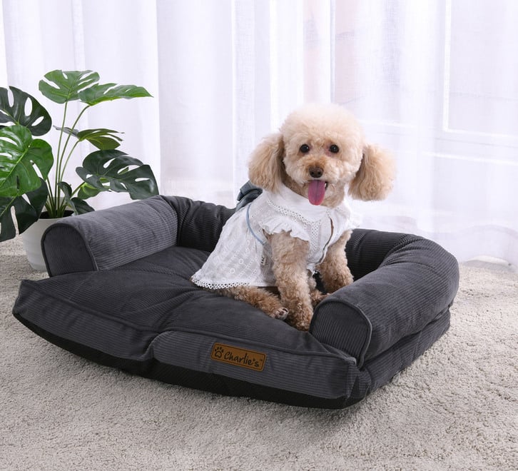 Felice Pet Sofa Bed