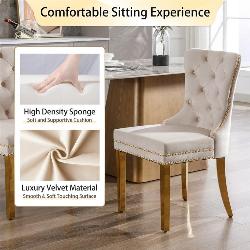 AADEN 2x Velvlet Dining chairs with Golden Metal Legs, Rings and Studs- Grey