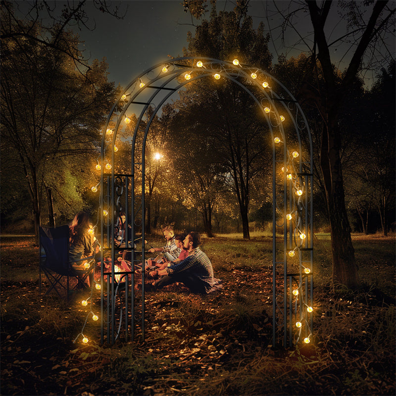 Rust-proof Double-Column Thicken Iron Garden Arch Trellis Vine