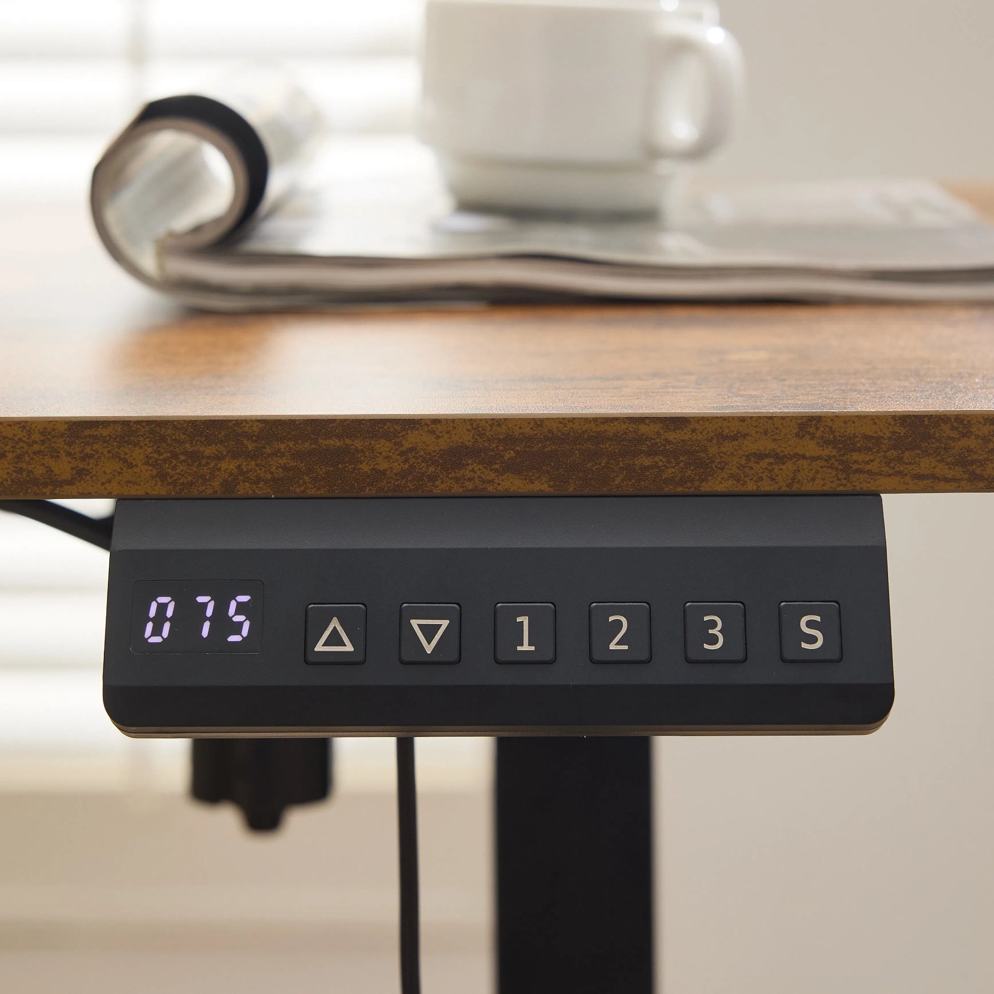 Electric Standing Desk 100x60cm Height Adjustable