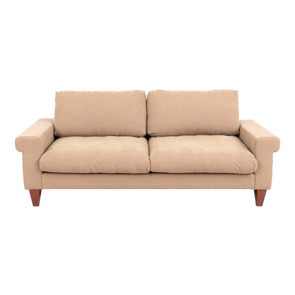Modern minimalist double seat fabric sofa (light brown)