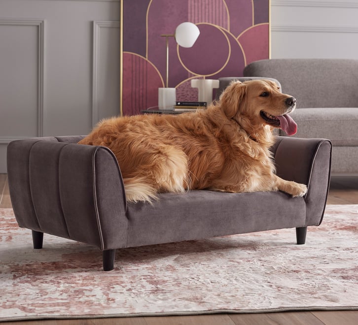 Bayton Pet Bed