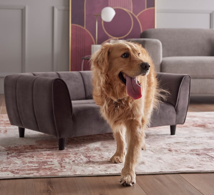 Bayton Pet Bed