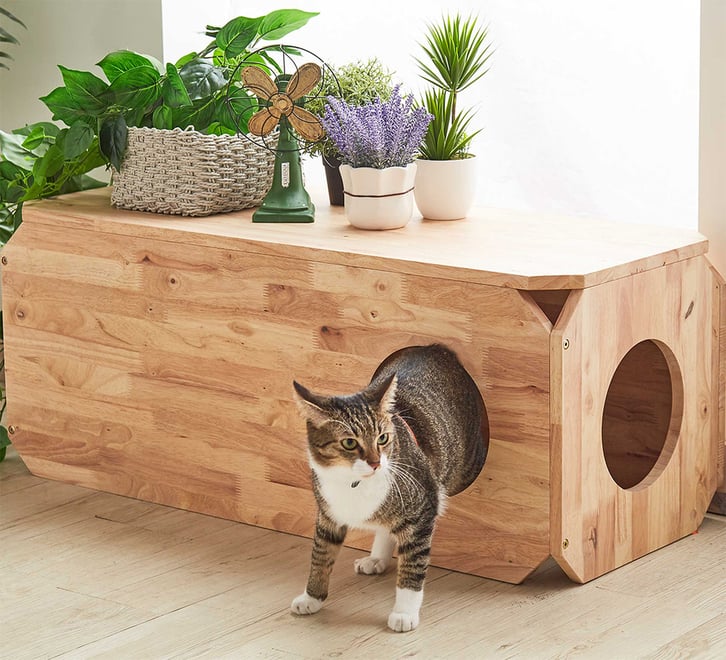 Oscar Cat Coffee Table