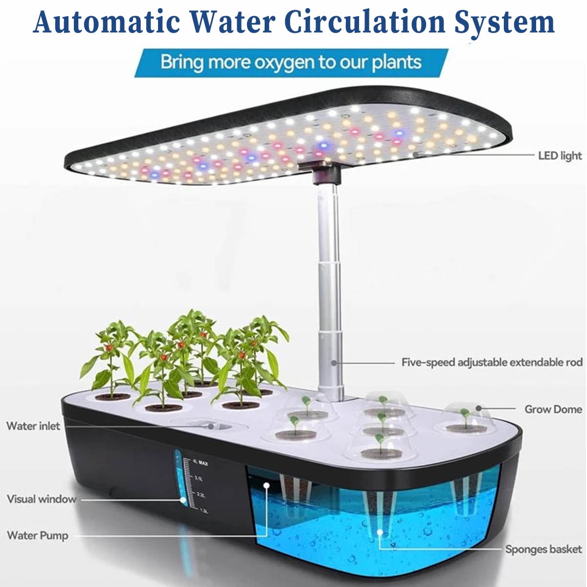 12 Pods Hydroponics Growing System Kit