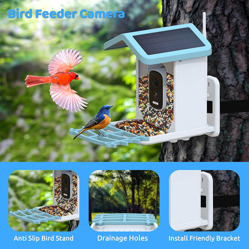 Solar Smart Bird Feeder with Camera