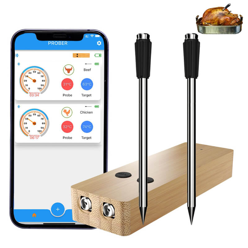 Wireless Meat Thermometer with 2 Probes