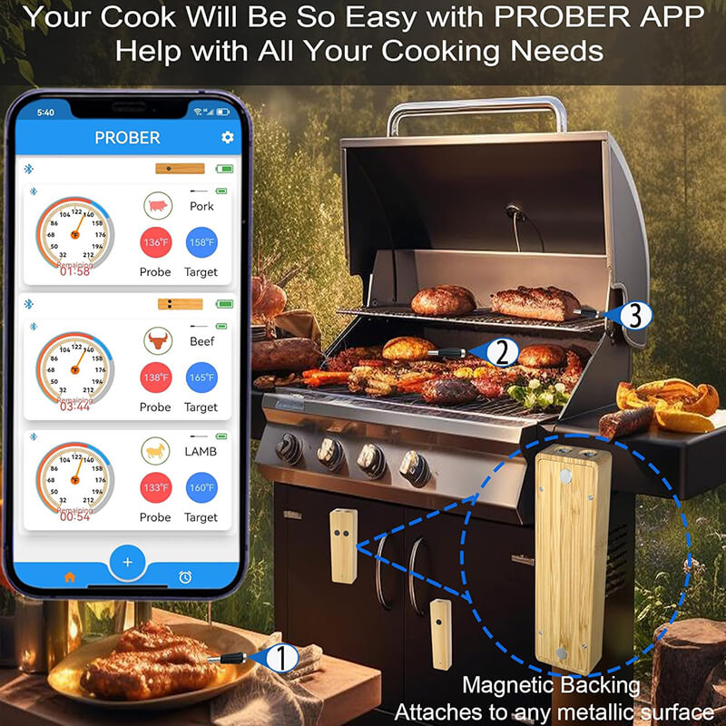 Wireless Meat Thermometer with 2 Probes